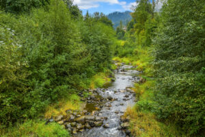 Scenic creek with walking trail and forest surroundings behind Building B at Wildwood Apartment Homes in Issaquah, Washington.